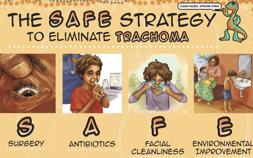 2017 SAFE card