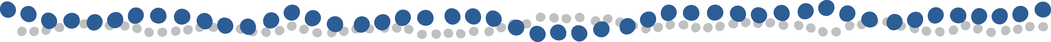 Roadmap Dots Footer